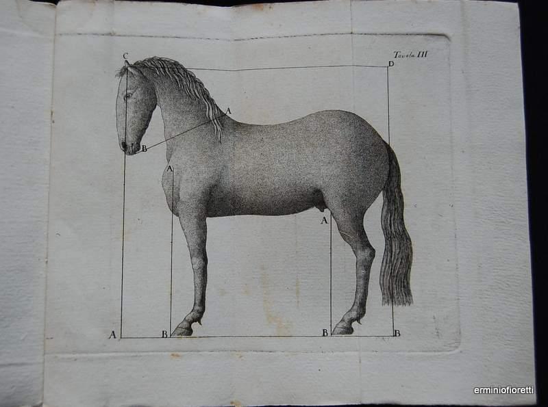 la nuova scienza veterinaria di Giovanni Pozzi Milano 1802 - con ex-libris